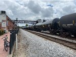 CTCX 302654